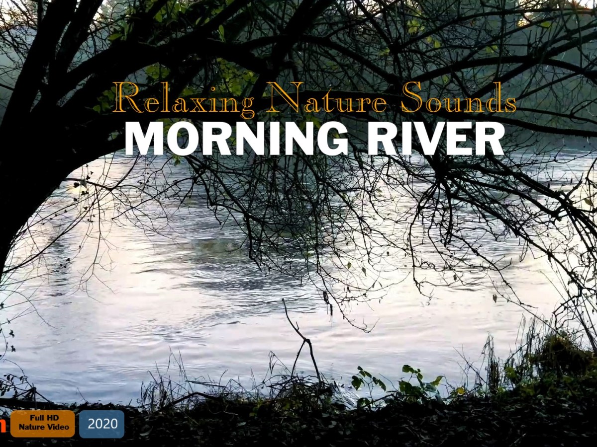 #stressrelief #relaxingmusic #sleepmusic #calmmusic #放松音乐 #睡眠音乐 #平静音乐 Relaxing Piano Music,River Nature Sounds at  Morning,Nature Sound Cricket,Nature Sounds Asmr [3 Hours] Full HD Nature Video for Relax,Sleep,Study or Meditation.Video Created by ShanVideo山视频道(2020).