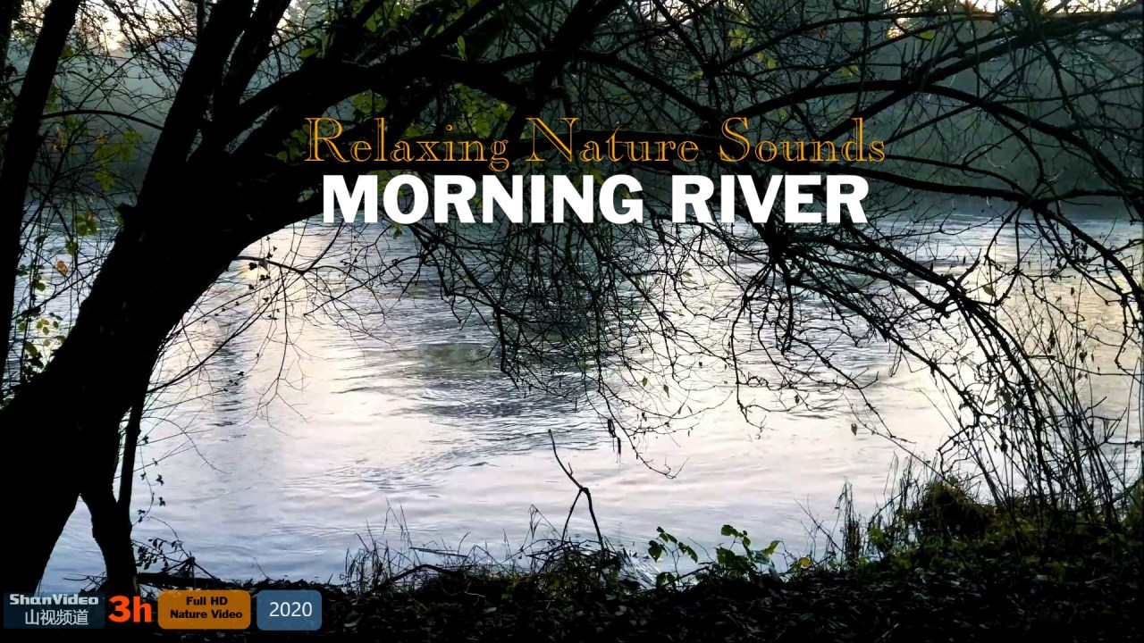 #stressrelief #relaxingmusic #sleepmusic #calmmusic #放松音乐 #睡眠音乐 #平静音乐 Relaxing Piano Music,River Nature Sounds at  Morning,Nature Sound Cricket,Nature Sounds Asmr [3 Hours] Full HD Nature Video for Relax,Sleep,Study or Meditation.Video Created by ShanVideo山视频道(2020).