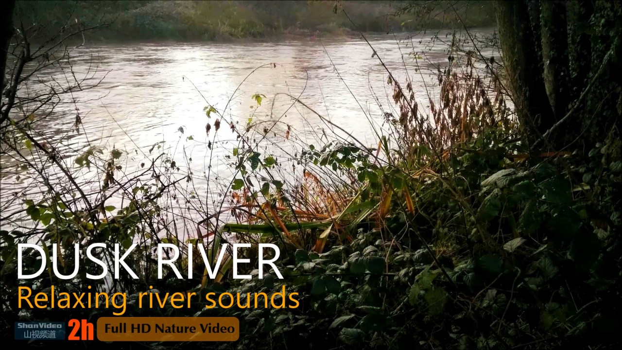 Relaxing River Sounds at Dusk,Nature Sound Cricket,Sleep/ Relax/ Study/2h Full HD.ShanVideo山视频道2020