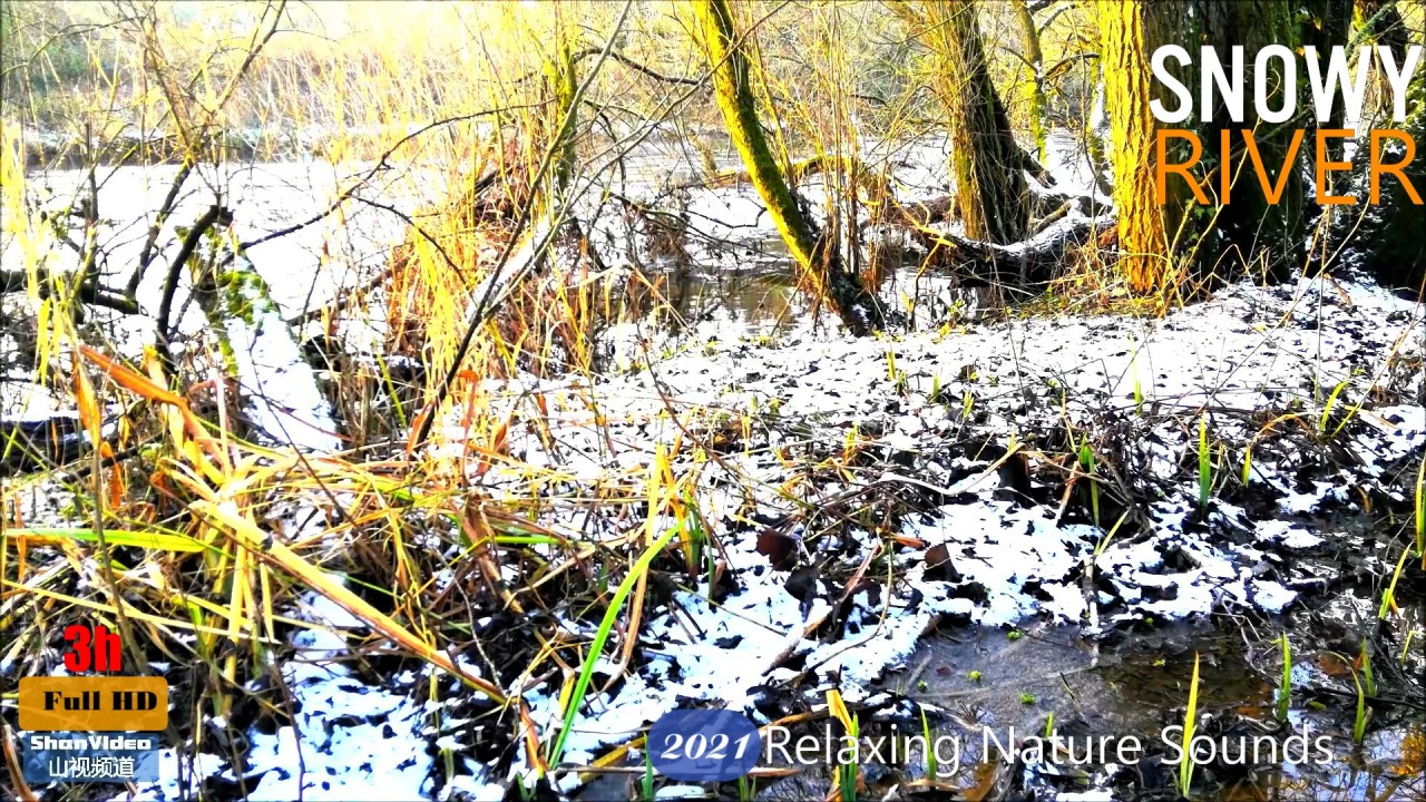 #平静音乐 #放松音乐 #疗愈音乐 #钢琴音乐 #sleepmusic #calmmusic #snowydaymusic Relaxing snowy river sounds,nature sound cricket,sleep,relax,study,[3h] full hd nature video,video created by ShanVideo山视频道(2021)
